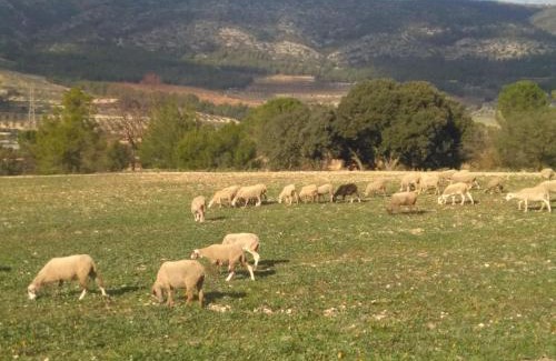 Ibi Casa | Casa Rural Masía Barbera
