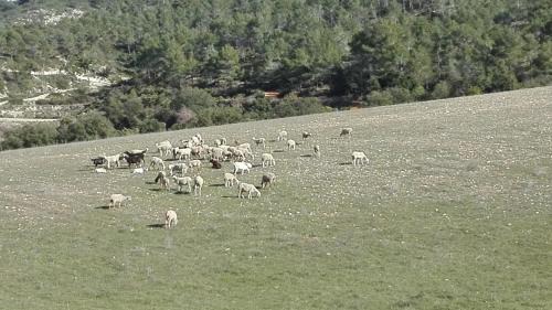 Ibi Casa | Casa Rural Masía Barbera