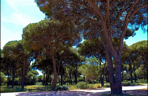 Conil de la Frontera Casa | Casa Rural Zara II