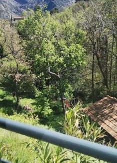 Feliceto Casa | Casa San-Ghjuvà