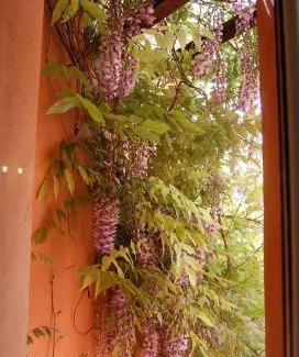 Olbia City Centre Casa | Casa Satta 1925