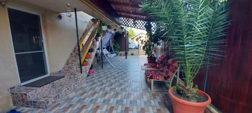 2 Mai Casa | Casa Sofia