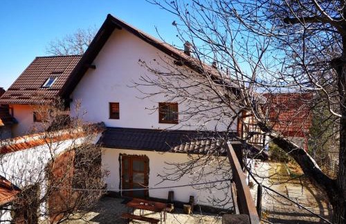 Bran Cabina | Casa Sofia