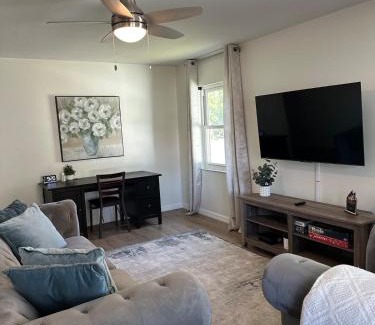 Port Tampa City Casa | CASA SOLÉ, South Tampa