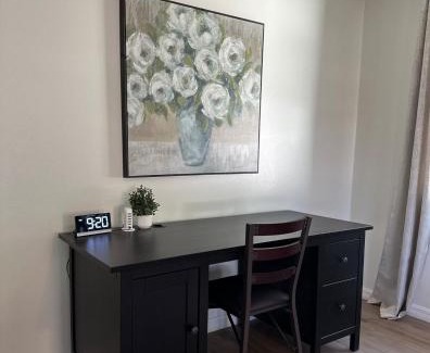 Port Tampa City Casa | CASA SOLÉ, South Tampa