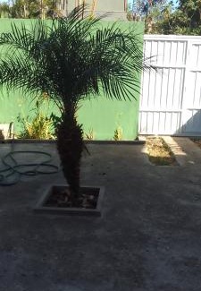 Sao Jose Casa | Casa temporada Tucuns