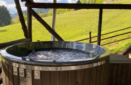 Albac Cabina | Casa Teodora