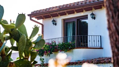 Capitana Casa | Casa Vacanze " IS MERIS "