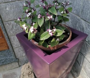 Paratico Casa | Casa Vacanze Mari, Paratico