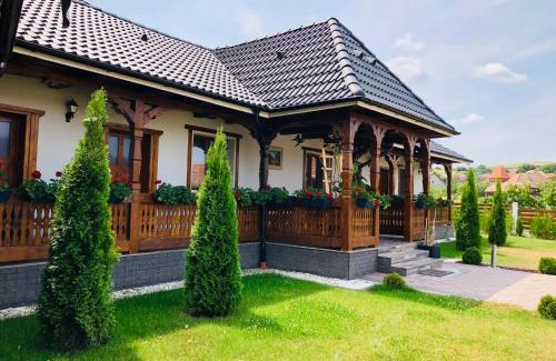 Raciu Casa | Casa Vasu
