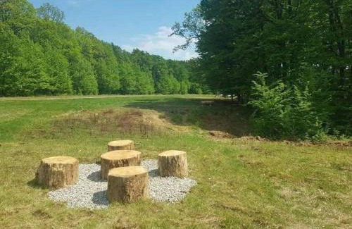 Cocorastii Mislii Casa | Casa Venus