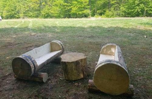 Cocorastii Mislii Casa | Casa Venus