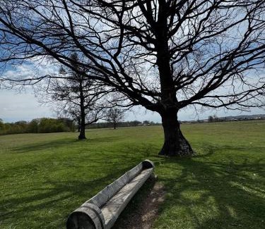 Cocorastii Mislii Casa | Casa Venus