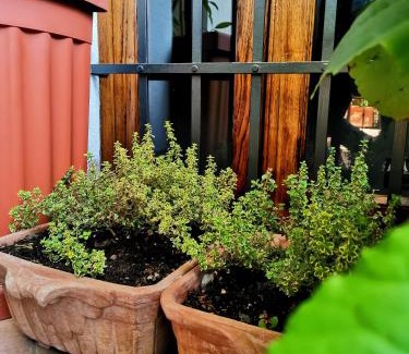 Bomerano Apartamento | Casa Villani