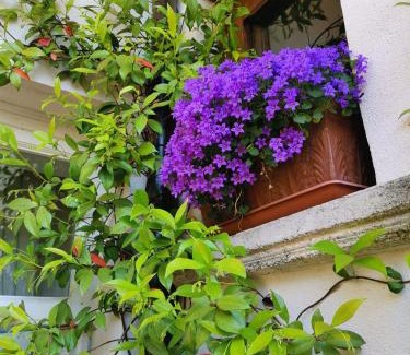 Bomerano Apartamento | Casa Villani