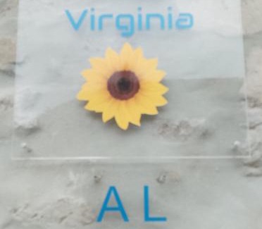 Pedrogao Grande Apartamento | Casa Virginia Wellness House