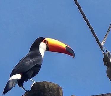 Sao Silvestre de Jacarei Casa | Casaazulvaleparaiba