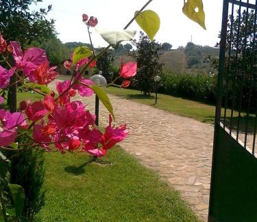 Altavilla Silentina Cama Y Desayuno | Casale Degli Ulivi Prestige