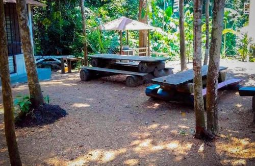 Novo Airao Casa | Casatemporada Piquiá