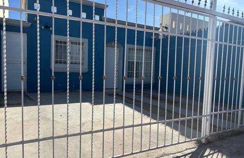 Chihuahua Casa | Casita Blue