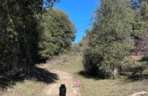 Descanso Casa | CASITA - One room cabin in the mountains of Descanso, CA