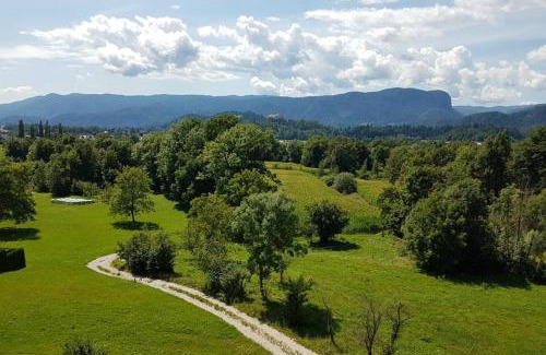 Zasip Apartamento | Castle View Nest