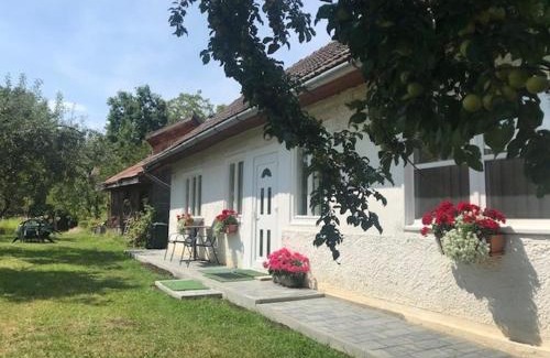 Covasna Casa | Casuta Sanatatii