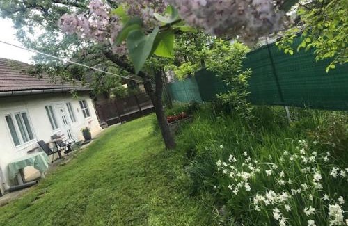 Covasna Casa | Casuta Sanatatii