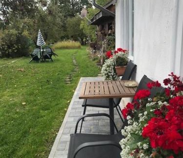 Covasna Casa | Casuta Sanatatii