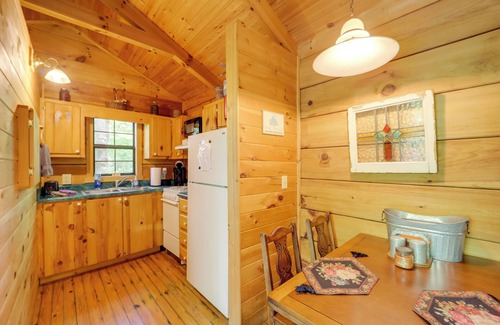 Vein Mountain Cabina | Cataloochee Ski Day Trips! Hot Tub Haven in Marion