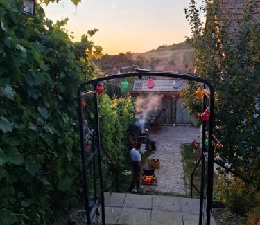 Sura Mare Villa | Cazare La Luiza b