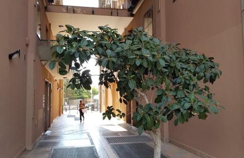 Municipio 2 Apartamento | Cconforthotels Apartment Rosalba
