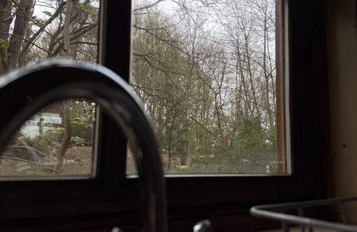 Bury St Edmunds Cabina | Cedar Lodge