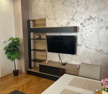 Ub Apartamento | Centar stan na dan Ub