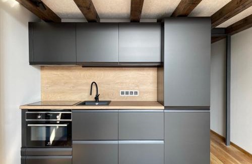 Kaunas Apartamento | Center stay Kaunas - Peledyne - Owl's nest apartments