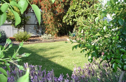 Shepparton Apartamento | Central Shepparton Apartment