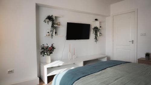 Calimanesti Apartamento | Central View Calimanesti