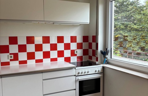 Celle Apartamento | Céntrico apartamento ático con vistas Aller y Old Town
