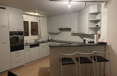 Hoengg Apartamento | Centrally located, Spacious Modern Apartment