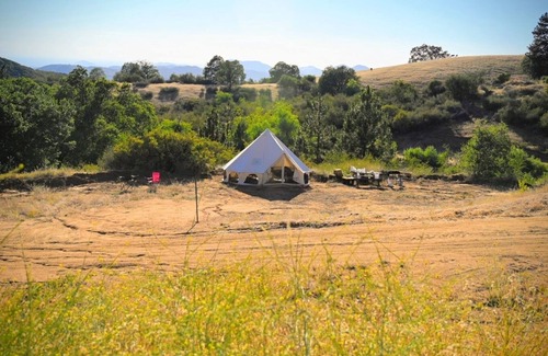 Pinehurst Alquiler De RV | CG34 Medium 20X35 ft. Campsite/Shower - Kings Canyon & Sequoia NP