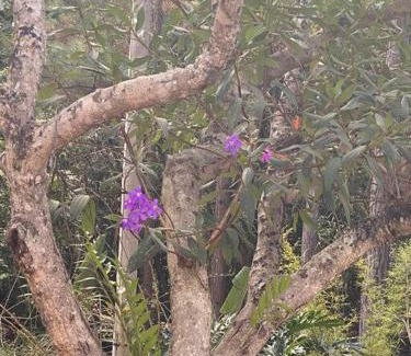 Mairipora Casa | Chácara Fortaleza refúgio ao lado de São Paulo!