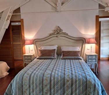 Lussac Cama Y Desayuno | Château de Lussac