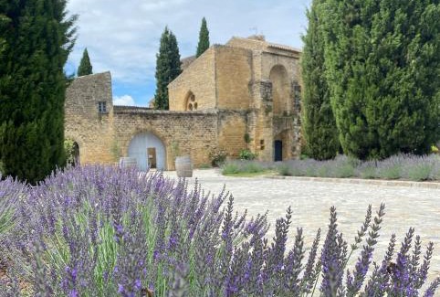 Puyvert Cama Y Desayuno | Château Saint-Pierre de Mejans