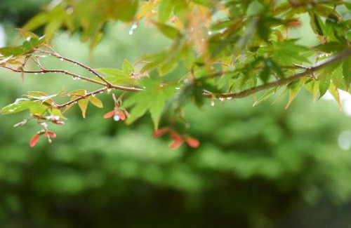 Bongpyeong Casa | CHAEUL Pension