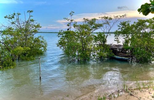 Caravelas Casa | Chalé Amarelo, conforto e muita natureza - Mar Doce!