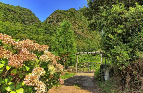 Sao Vicente Chalet De Esquí | Chale Jardim De Cima