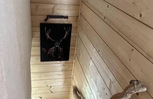 Cauterets Chalet De Esquí | Chalet à Cauterets/6 pers/Parking privatif - FR-1-234-318