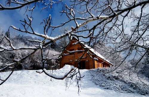Mont-Dore Chalet De Esquí | Chalet Ô Mont-Dore. Auvernia 63240 Le Mont-Dore. Hasta 6 personas