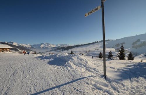 Les Saisies Apartamento | Chalet A, Village des Lapons Les Saisies, 3 chambres et 1 espace nuit mezzanine