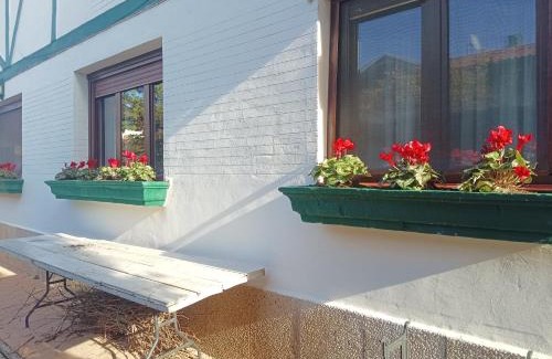 Haro Casa | Chalet Alméndora Perfecto para grupos y familias